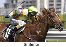 Si Senor (14932 bytes)