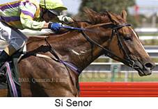 Si Senor (15603 bytes)