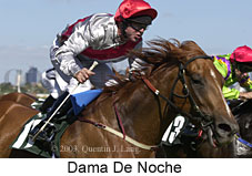 Dama De Noche (15058 bytes)