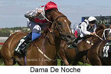 Dama De Noche (13468 bytes)