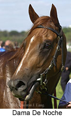 Dama De Noche (12540 bytes)