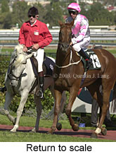 Return to scale (16893 bytes)