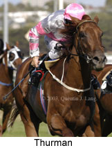 Thurman (13223 bytes)