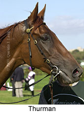 Thurman (12809 bytes)