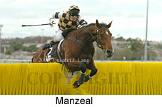 Manzeal (18630 bytes)