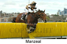 Manzeal (14872 bytes)