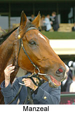 Manzeal (14872 bytes)