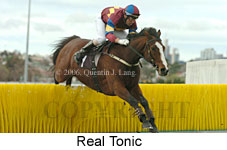 Real Tonic (14872 bytes)