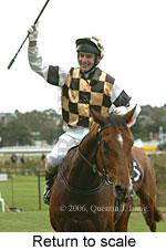 Return to scale (15361 bytes)