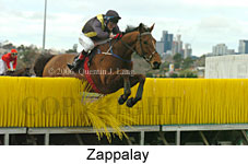 Zappalay (14872 bytes)