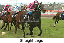 Straight Legs (14872 bytes)