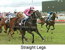 Straight Legs (14872 bytes)