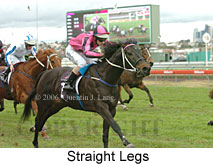 Straight Legs (14872 bytes)