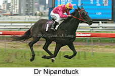 Dr Nipandtuck (14872 bytes)