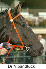 Dr Nipandtuck (14872 bytes)