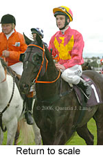 Return to scale (15361 bytes)