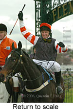 Return to scale (15361 bytes)