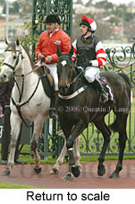 Return to scale (15361 bytes)