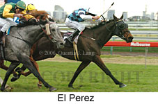 El Perez (14872 bytes)