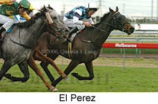 El Perez (14872 bytes)