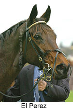 El Perez (14872 bytes)