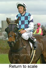 Return to scale (15361 bytes)