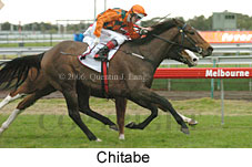 Chitabe (14872 bytes)