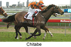 Chitabe (14872 bytes)