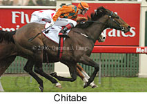 Chitabe (14872 bytes)