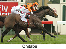 Chitabe (14872 bytes)