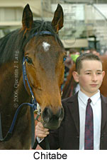 Chitabe (14872 bytes)