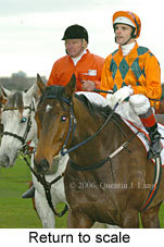 Return to scale (15361 bytes)