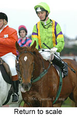 Return to scale (15361 bytes)