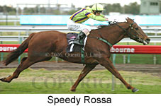 Speedy Rossa (14872 bytes)