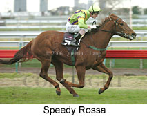 Speedy Rossa (14872 bytes)