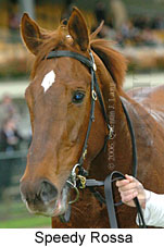 Speedy Rossa (14872 bytes)