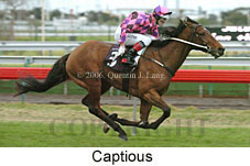 Captious (14872 bytes)