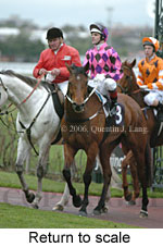 Return to scale (15361 bytes)