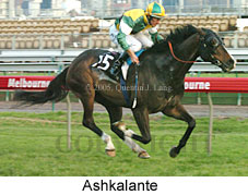 Ashkalante  (17710 bytes)