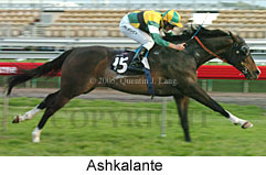 Ashkalante  (17710 bytes)