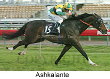 Ashkalante  (17710 bytes)