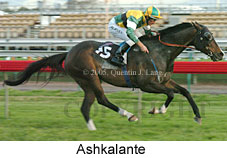 Ashkalante  (17710 bytes)