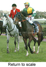 Return to scale (16571 bytes)