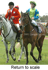 Return to scale (16571 bytes)