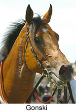 Gonski (17710 bytes)
