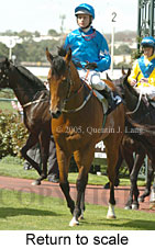 Return to scale (16571 bytes)