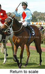 Return to scale (16571 bytes)