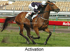 Activation (17710 bytes)