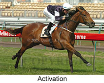 Activation (17710 bytes)