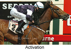 Activation (17710 bytes)